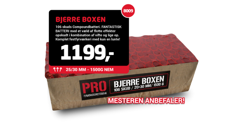 bjerre-nytaarsbatteri