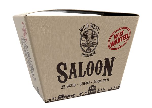 4025 - Saloon batteri